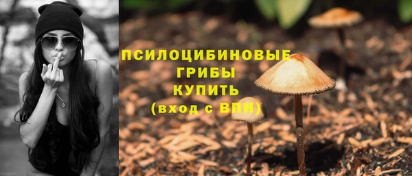 бутират Козловка