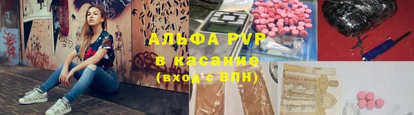 дживик Козельск