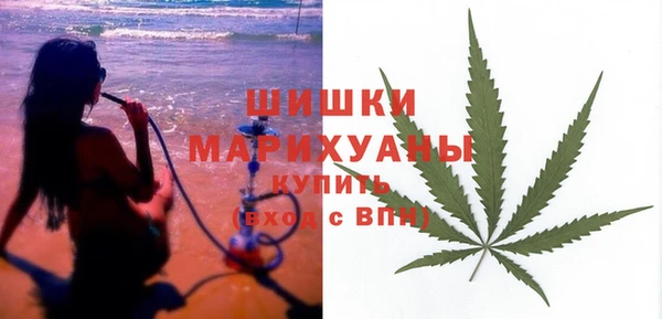 мдпв Кодинск