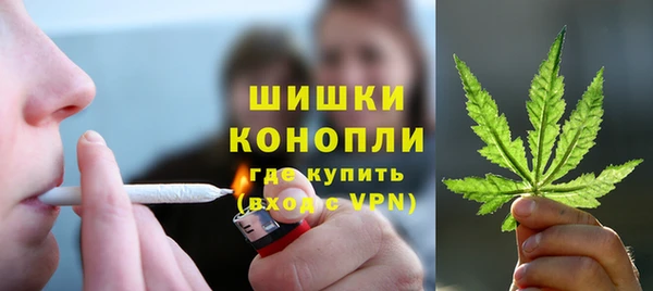 дживик Козельск