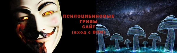 бутират Козловка
