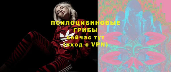 мдпв Кодинск