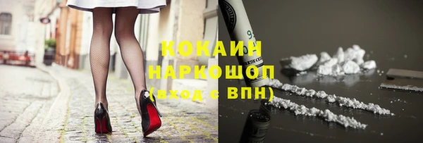 мдпв Кодинск