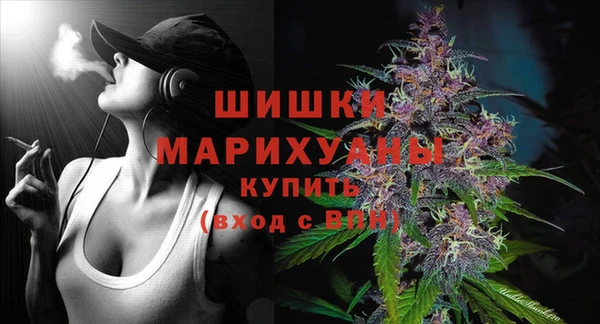 мдпв Кодинск