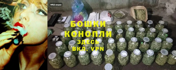 мдпв Кодинск