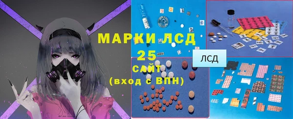 дживик Козельск