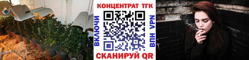 Купить закладки  Биробиджан  ТГК жижа 