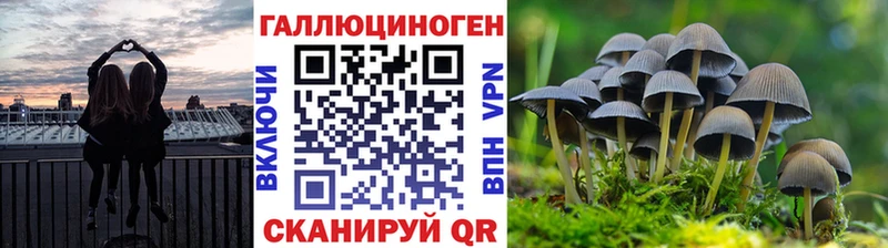 Галлюциногенные грибы прущие грибы  Купить закладки  Биробиджан 